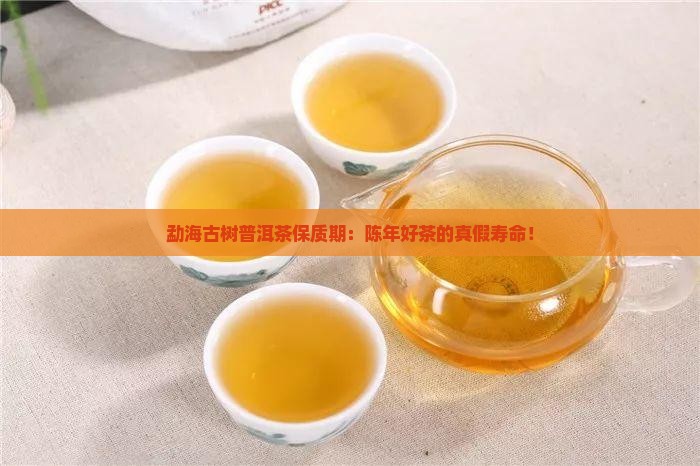勐海古树普洱茶保质期