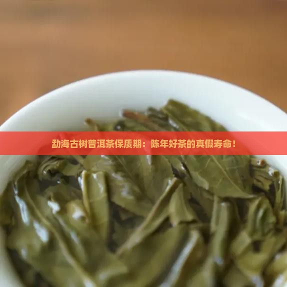 勐海古树普洱茶保质期