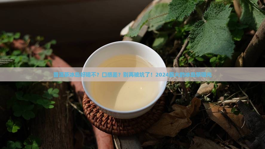 普洱茶冰岛好喝不