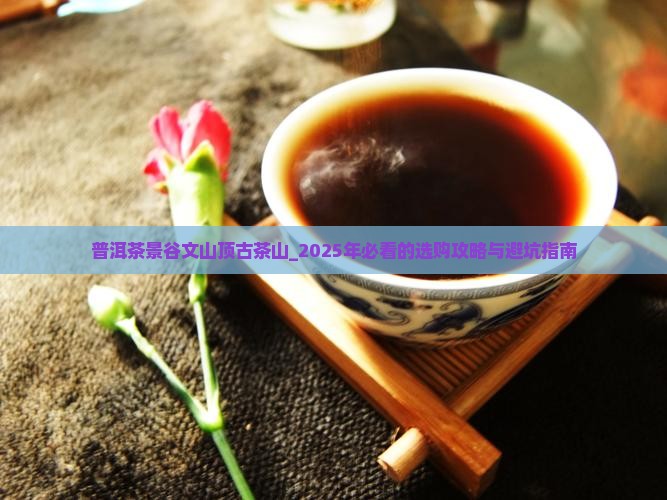 普洱茶景谷文山顶古茶山
