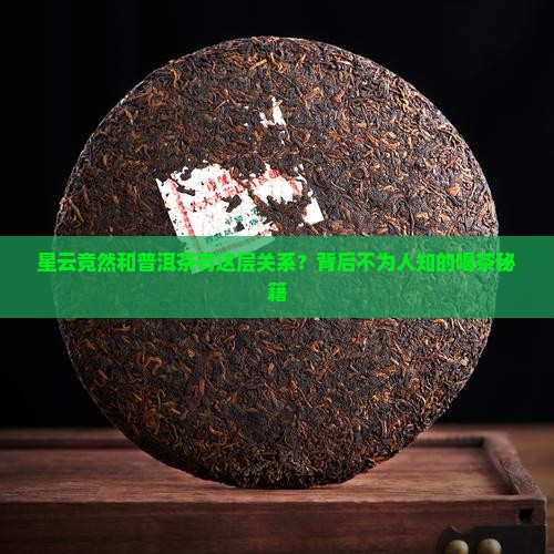 星云大师与普洱茶