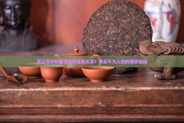 星云大师与普洱茶