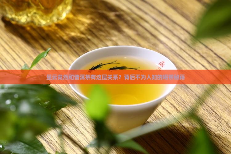 星云大师与普洱茶