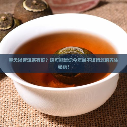 春天喝普洱茶有好