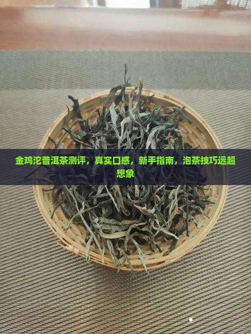 金鸡沱普洱茶测评