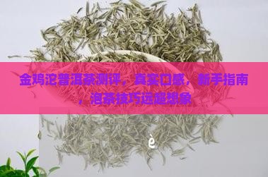 金鸡沱普洱茶测评