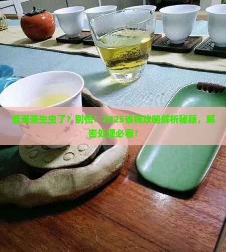 普洱茶生虫了怎办