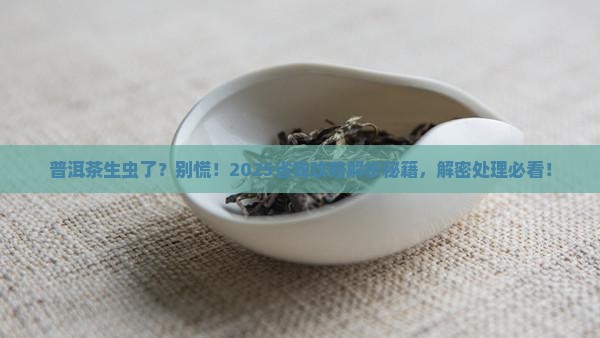 普洱茶生虫了怎办