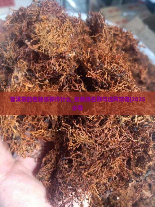 普洱茶的包装纸称作什么