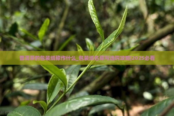 普洱茶的包装纸称作什么