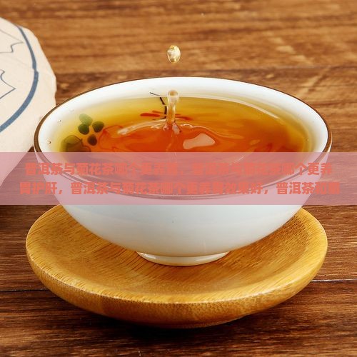 普洱茶与菊花茶哪个更养胃