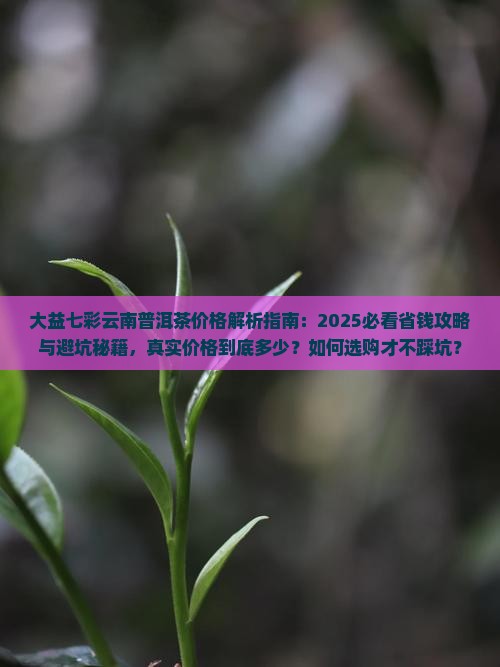 大益七彩云南普洱茶价格