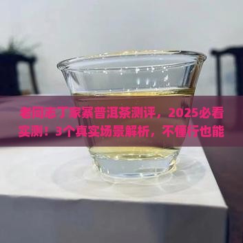 老同志丁家寨普洱茶测评