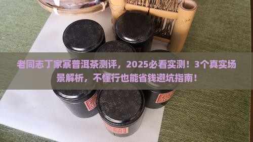 老同志丁家寨普洱茶测评