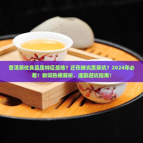 普洱茶优良品质特征是啥