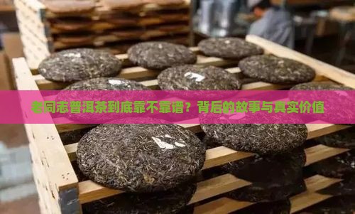 老同志普洱茶品牌涵义