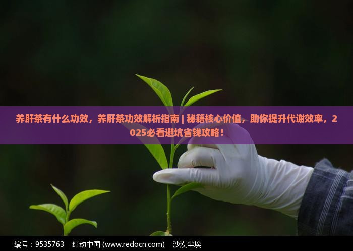 养肝茶有什么功效