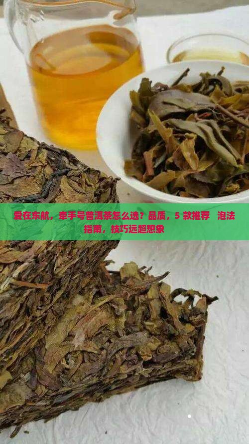 爱在东航牵手号普洱茶