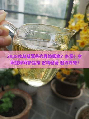 冰岛普洱茶找哪家代理的