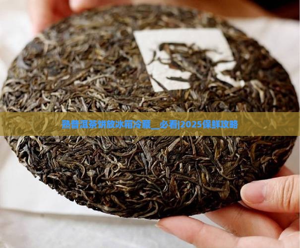 熟普洱茶饼放冰箱冷藏