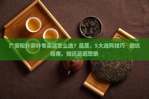 广安松针茶叶专卖店