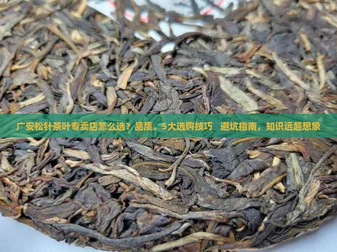 广安松针茶叶专卖店