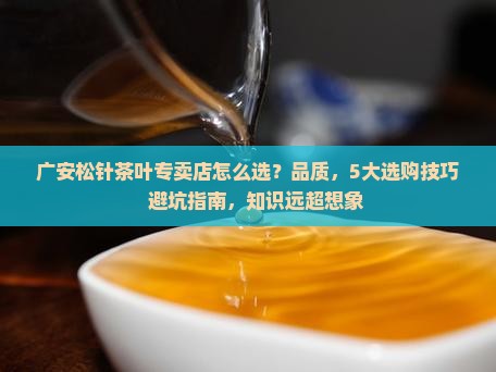 广安松针茶叶专卖店