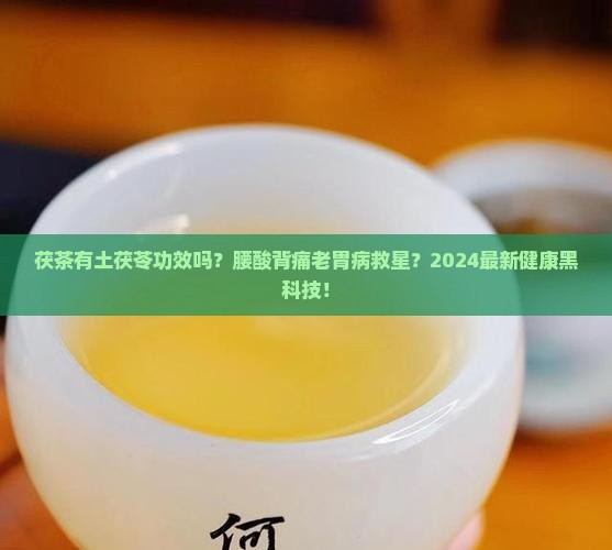 茯茶有土茯苓功效吗