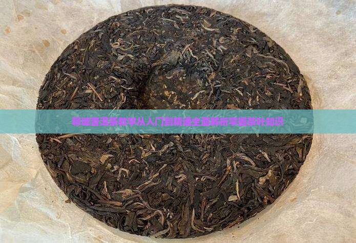 聊城普洱茶教学