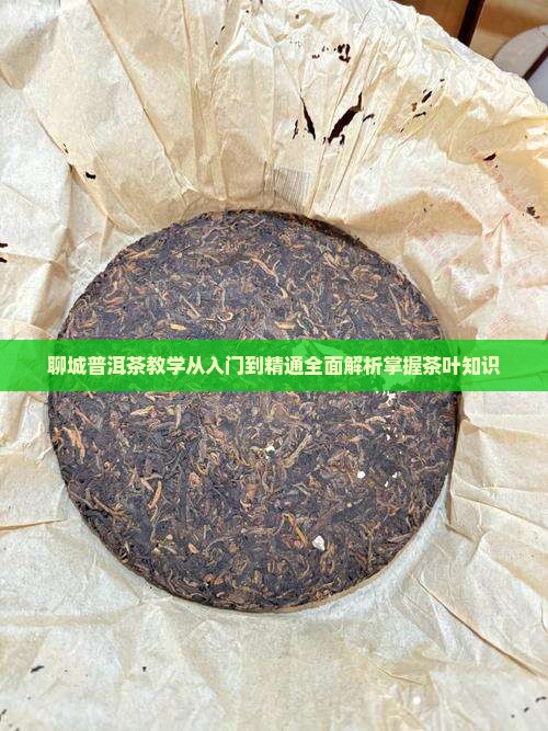 聊城普洱茶教学