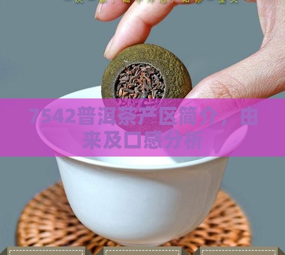 7542普洱茶产区
