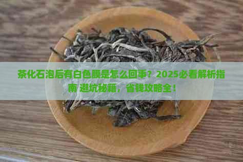 茶化石泡后有白色膜