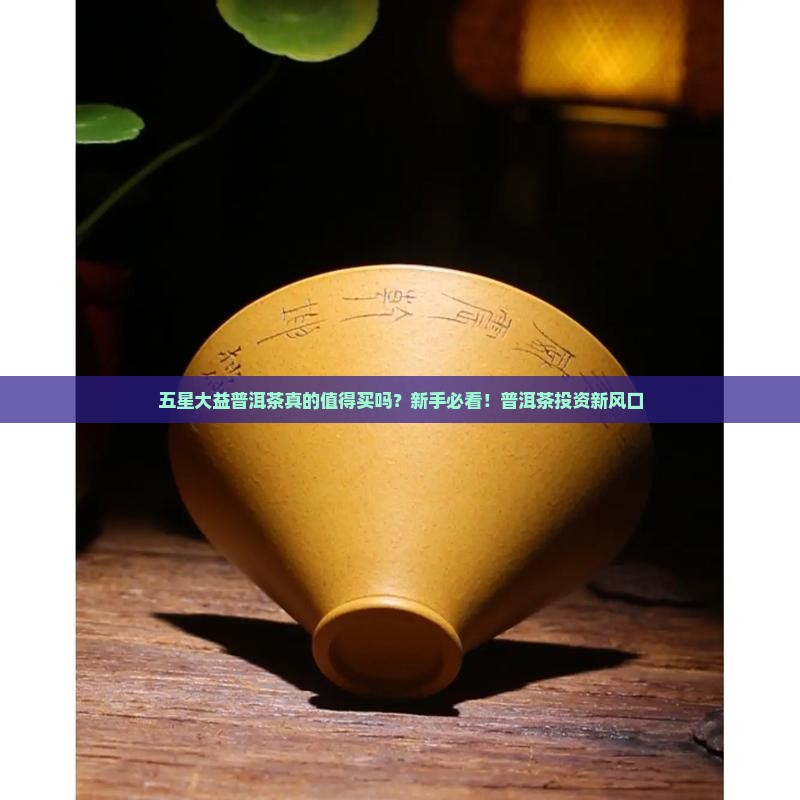 五星大益普洱茶