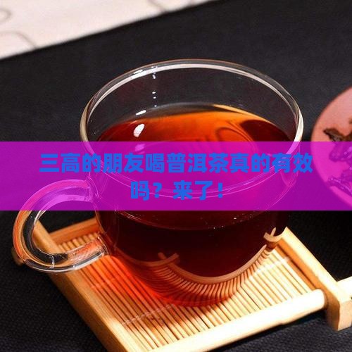 三高的朋友喝普洱茶