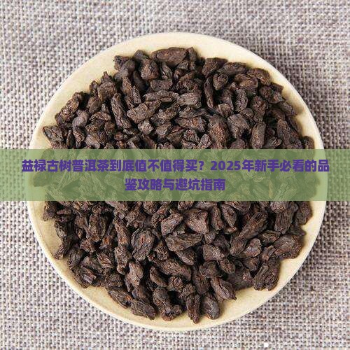 益禄古树普洱茶
