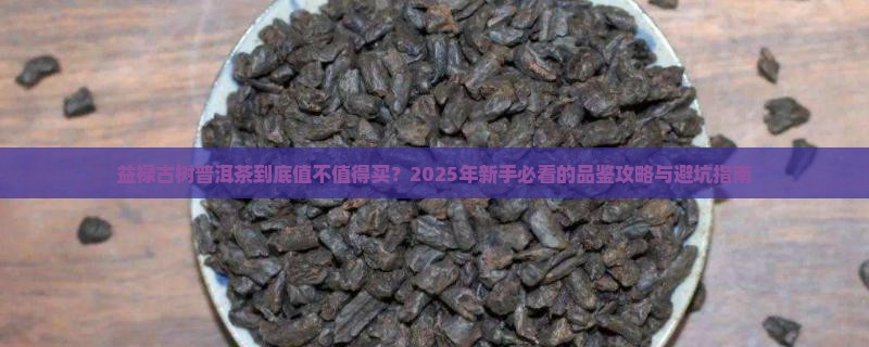 益禄古树普洱茶