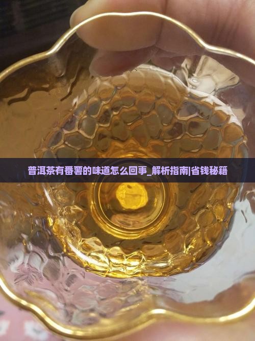 普洱茶有番薯的味道怎么回事