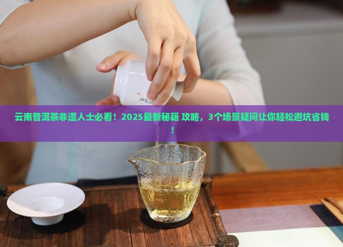云南普洱茶非遗人士