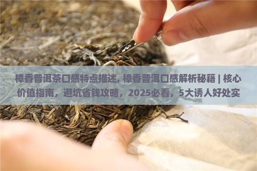 樟香普洱茶口感特点描述