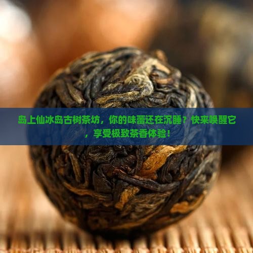 岛上仙冰岛古树茶坊