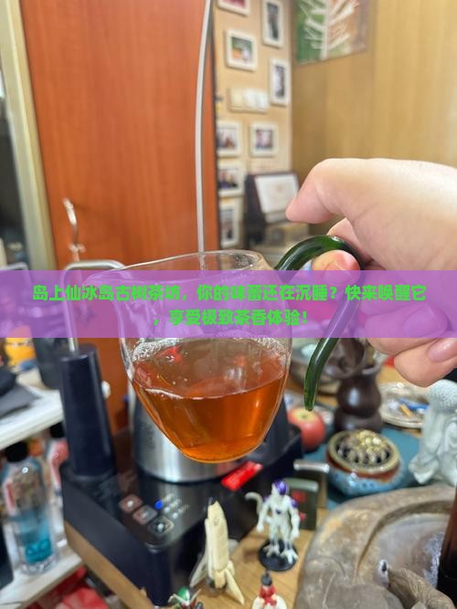 岛上仙冰岛古树茶坊