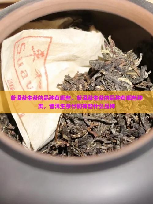 普洱茶生茶的品种有哪些