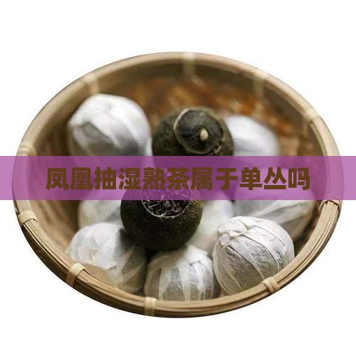 凤凰单丛抽湿茶是属于熟茶吗