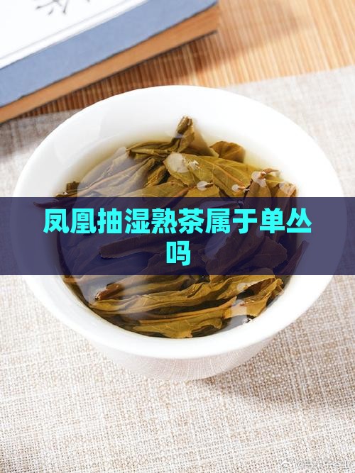 凤凰单丛抽湿茶是属于熟茶吗