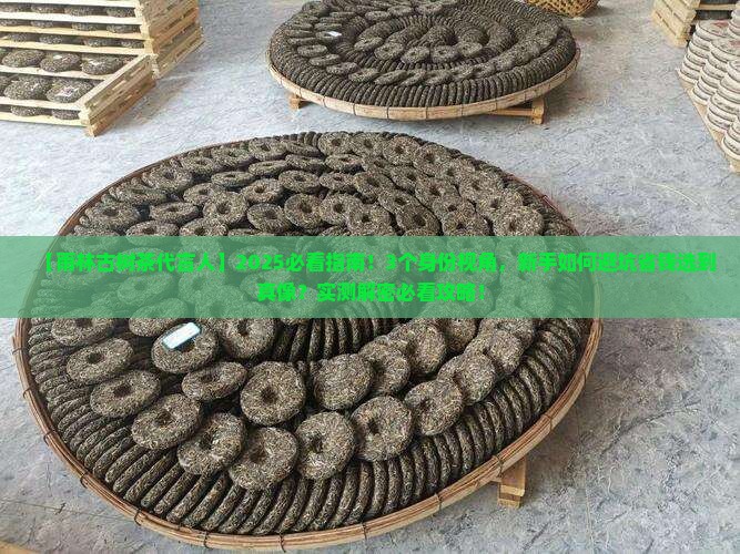 雨林古树茶代言人