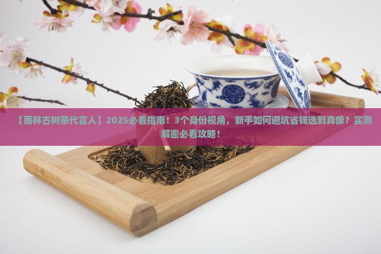 雨林古树茶代言人