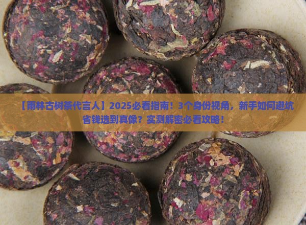 雨林古树茶代言人