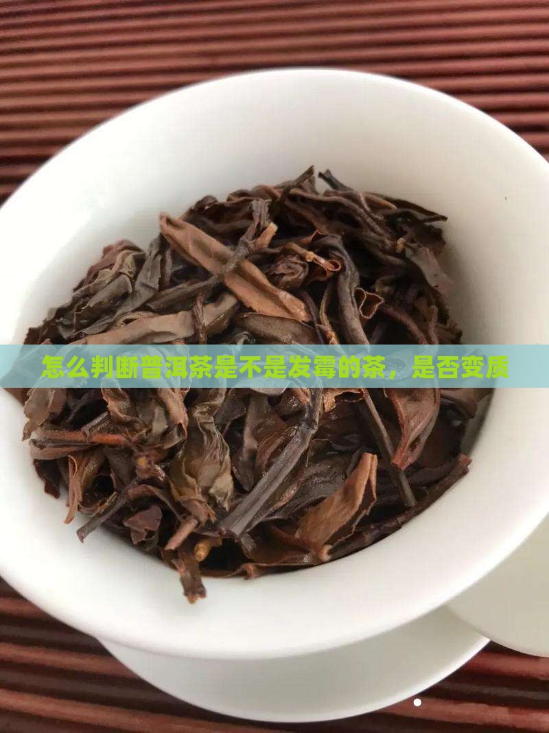 怎么判断普洱茶是不是发霉的茶