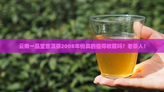 云南一品堂普洱茶2008