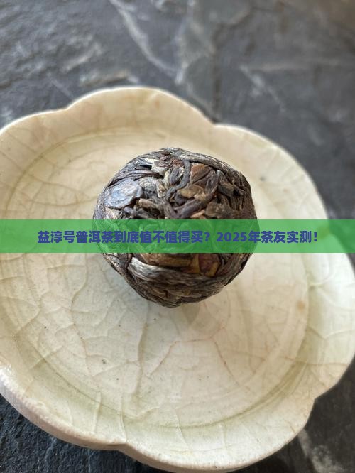 益淳号普洱茶怎么样